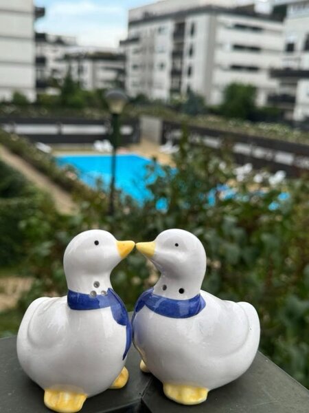 Ilfov Inchiriere 3 camere Natura Residence